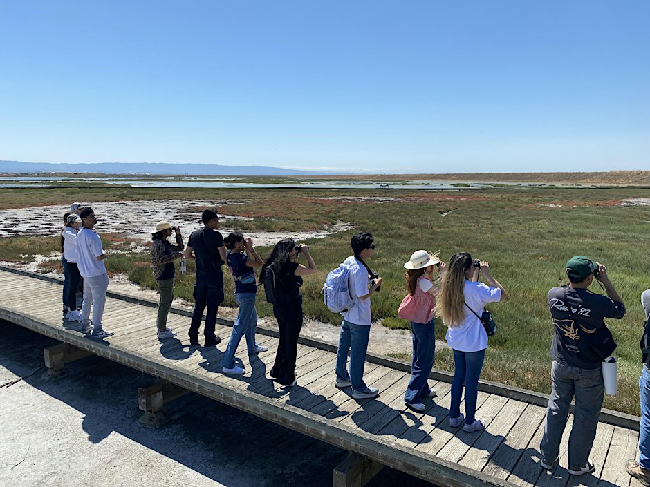 Benefits of Birding Walk