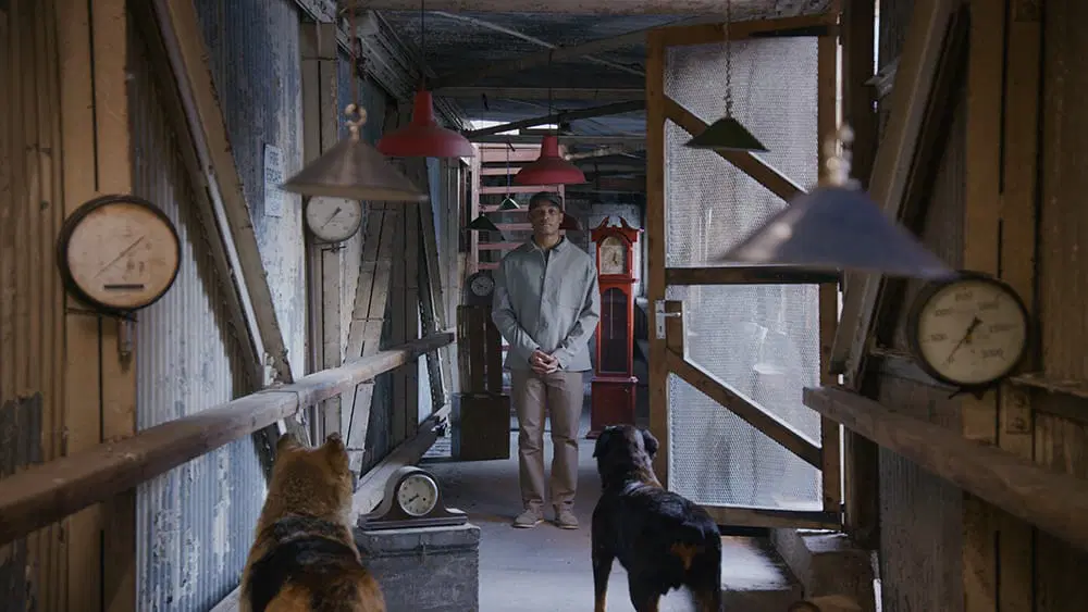 “John Akomfrah: The Hour Of The Dog”