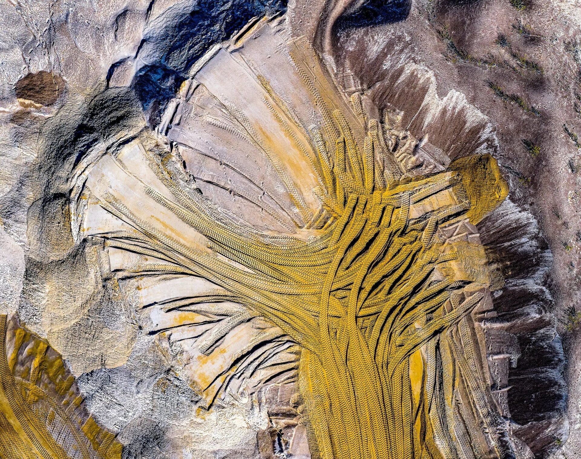 Fall Exhibitions at the Pearl Fincher Museum of Fine Arts