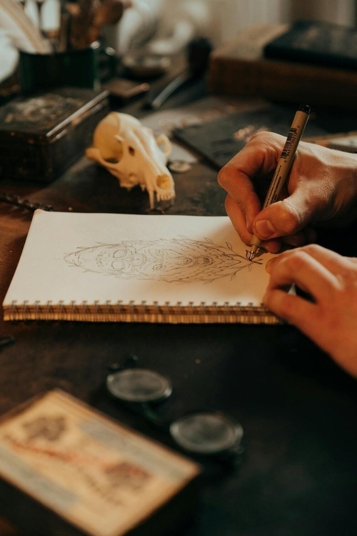 Observational Drawing from Natural History Specimens