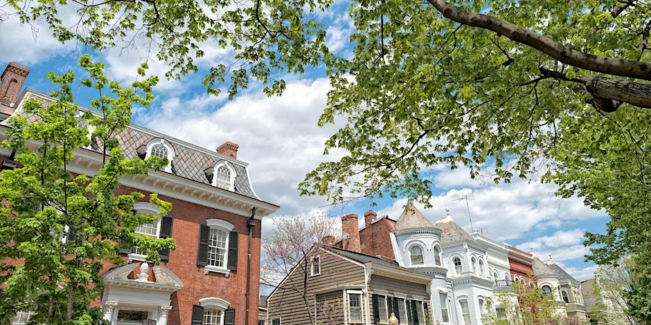 Tree Tour Through Georgetown