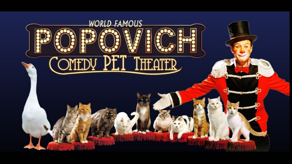 Popovich Comedy Pet Theater