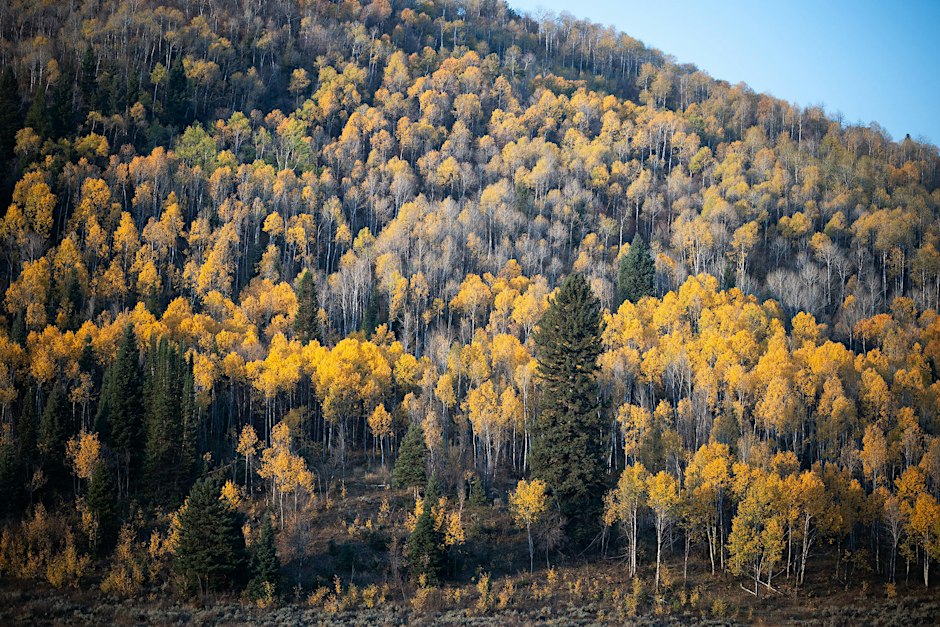 Meet the Ambassadors: Hike on the 910 Ranch