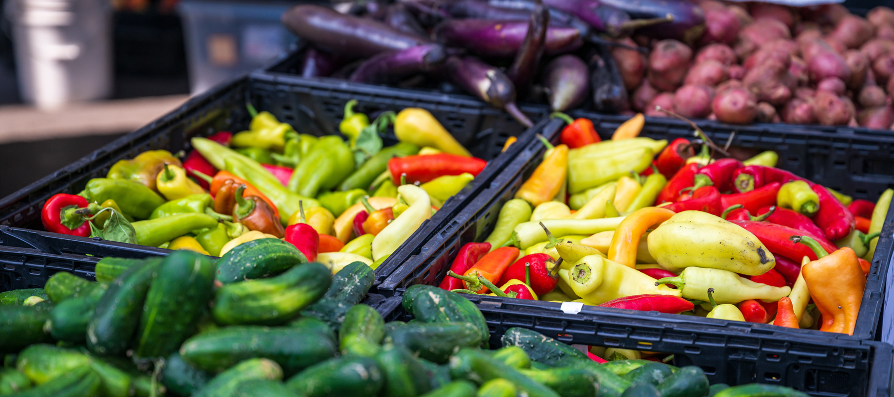 Division Street Farmers Market