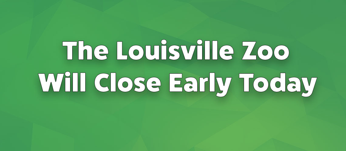 Early Close (Gates close at 2 p.m. Exit by 3 p.m.)