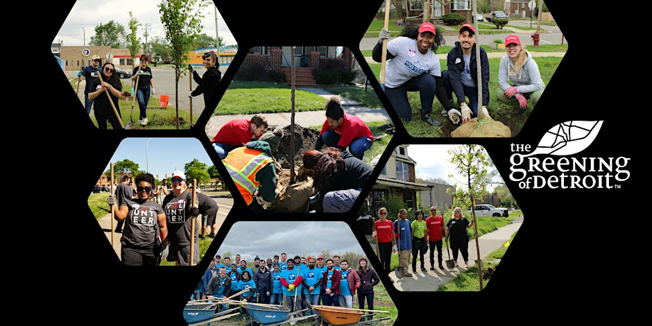 Volunteer for Detroit Community Tree Giveaway