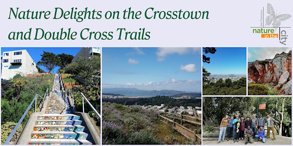 Nature Delights on the Crosstown and Double Cross Trails